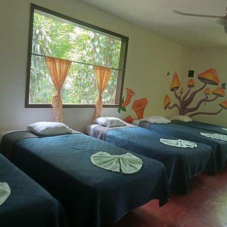 El Panchan Palenque Buitenkant foto